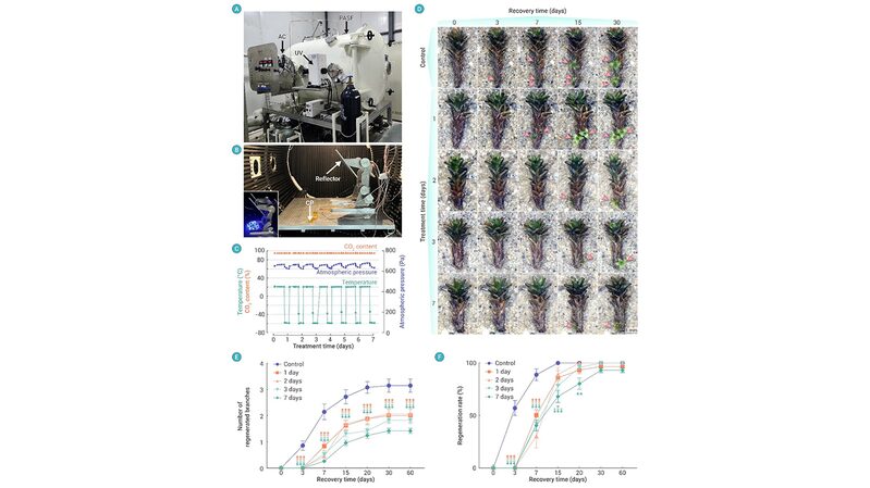 Chinese Scientists Discover Desert Moss Capable of Surviving Martian Conditions