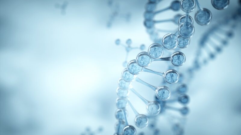 Chinese_Scientists_Discover_Gene_CG11837_A_Potential_Key_to_Longevity_and_Pest_Control - Khabar Asia Chinese Scientists Discover Gene CG11837: A Potential Key to Longevity and Pest Control
