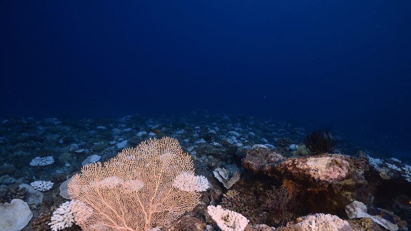 Chinese_Scientists_Discover_Potential_New_Antibiotics_in_Deep_Sea_Microbes - Khabar Asia Chinese Scientists Discover Potential New Antibiotics in Deep Sea Microbes