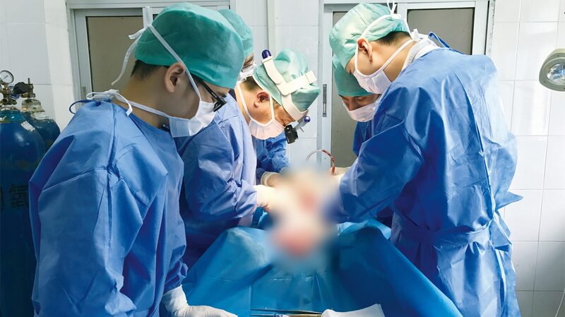 Chinese_Scientists_Successfully__Reanimate__Pig_Brain_After_50_Minutes_of_Death - Khabar Asia Chinese_Scientists_Successfully__Reanimate__Pig_Brain_After_50_Minutes_of_Death