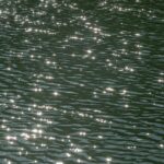 Chinese Scientists Unveil Historical Lake Nutrient Database to Predict Water Quality Trends