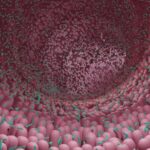 Chinese Study Reveals Gut Microbiome's Role in Regulating Human Aging