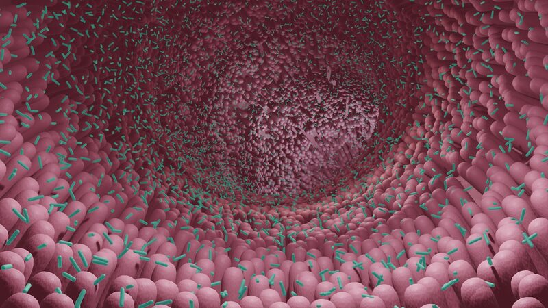 Chinese_Study_Reveals_Gut_Microbiomes_Role_in_Regulating_Human_Aging - Khabar Asia Chinese Study Reveals Gut Microbiome's Role in Regulating Human Aging