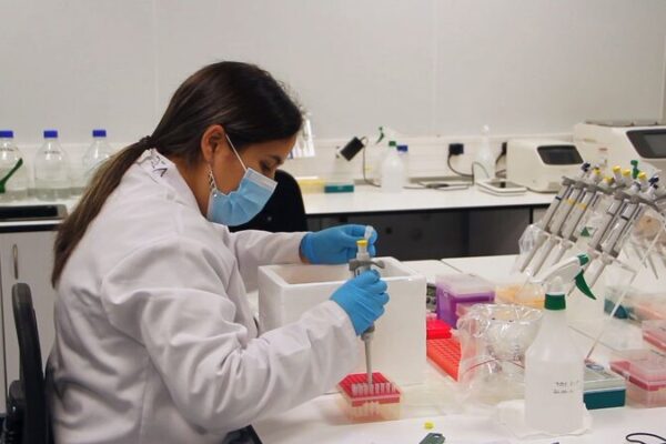 Chinese Tech Partnership Advances Genetic Science in South Africa Chinese Tech Partnership Advances Genetic Science in South Africa video poster
