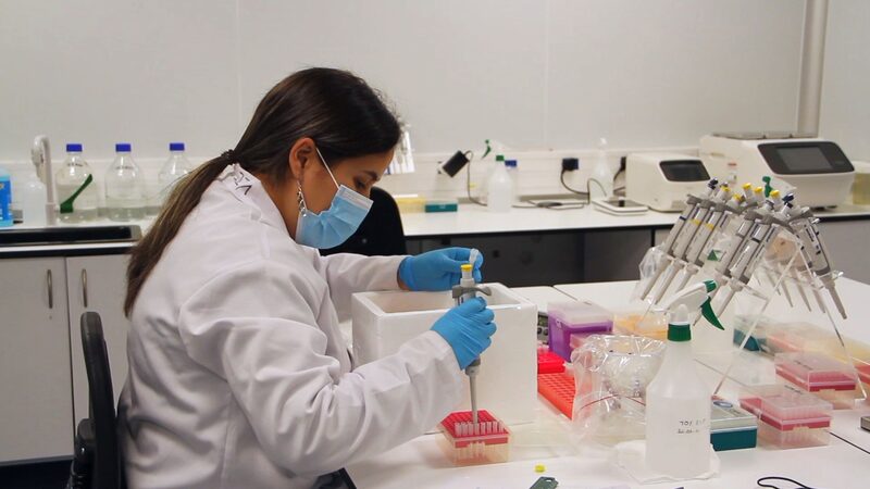 Chinese_Tech_Partnership_Advances_Genetic_Science_in_South_Africa_poster - Khabar Asia Chinese Tech Partnership Advances Genetic Science in South Africa video poster