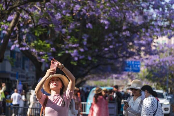 Chinese Tourists Embrace County Tours During May Day Holiday Chinese Tourists Embrace County Tours During May Day Holiday