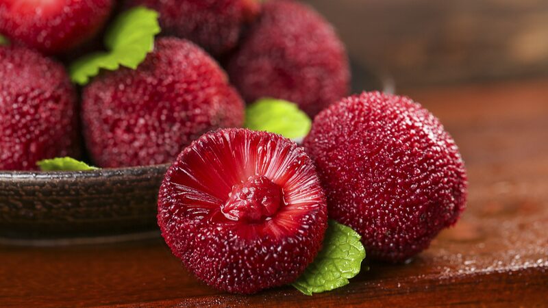 Chinese_Waxberry_Growers_Gear_Up_to_Meet_Global_Demand