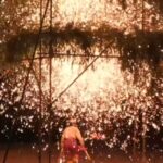 Chinese_Youth_Revitalize_Traditional_Culture_Through_the_Internet