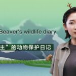 Chu Wenwen: Championing Wildlife Conservation in Xinjiang's Altay Region video poster