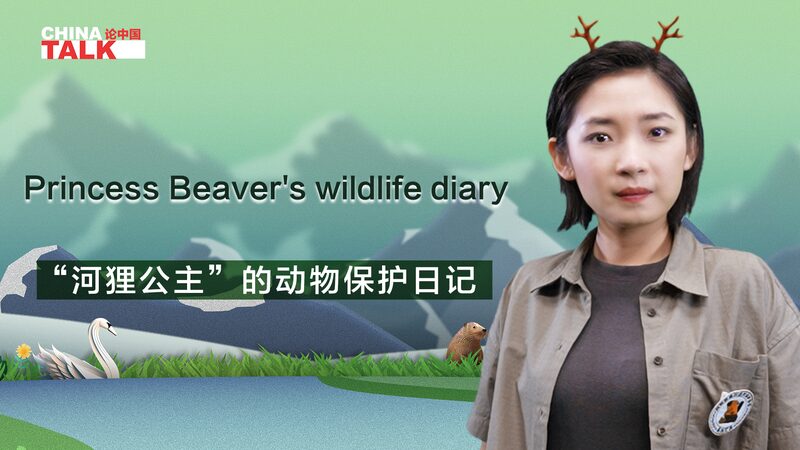 Chu_Wenwen_Championing_Wildlife_Conservation_in_Xinjiangs_Altay_Region_poster - Khabar Asia Chu Wenwen: Championing Wildlife Conservation in Xinjiang's Altay Region video poster