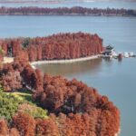 Chutian_Terrace_Offers_Stunning_Views_of_Wuhan_s_Majestic_Skyline video poster