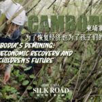 Clearing Cambodia's Landmines: Chinese Peacekeeper Liu Wenzhi's Mission video poster