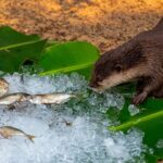 Climate Change Exacerbates Asia's Record-Breaking April Heat, Scientists Say