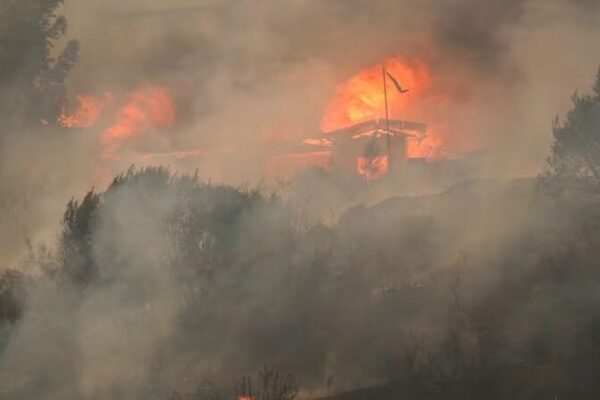 Climate Change Heightens Wildfire Risks in Asia: Insights from Chile’s Tragedy Climate Change Heightens Wildfire Risks in Asia: Insights from Chile's Tragedy