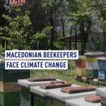 Climate Change Threatens North Macedonia's Beekeeping Industry video poster