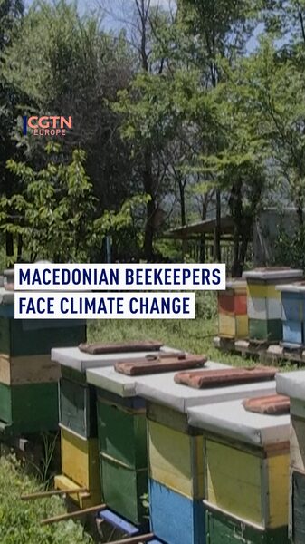 Climate_Change_Threatens_North_Macedonias_Beekeeping_Industry_poster - Khabar Asia Climate Change Threatens North Macedonia's Beekeeping Industry video poster