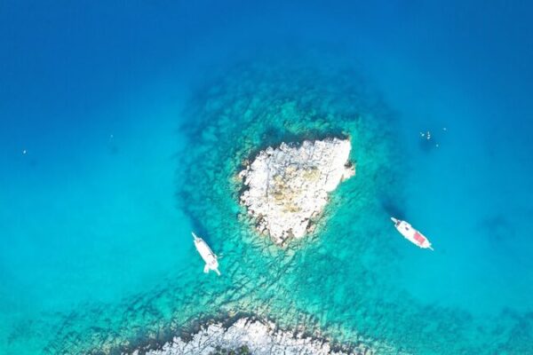 Climate Change Threatens Türkiye’s Coral Reefs, Experts Call for Action Climate_Change_Threatens_Tu_rkiye_s_Coral_Reefs__Experts_Call_for_Action