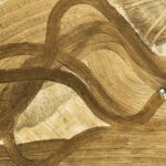 Coastal Regions Propel China's Modernization: Insights from President Xi's Inspection Tour