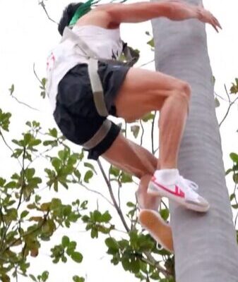 Coconut Tree Climbing Debuts at China’s National Ethnic Games Coconut_Tree_Climbing_Debuts_at_China_s_National_Ethnic_Games video poster