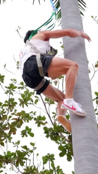 Coconut_Tree_Climbing_Debuts_at_China_s_National_Ethnic_Games_poster - Khabar Asia Coconut_Tree_Climbing_Debuts_at_China_s_National_Ethnic_Games video poster