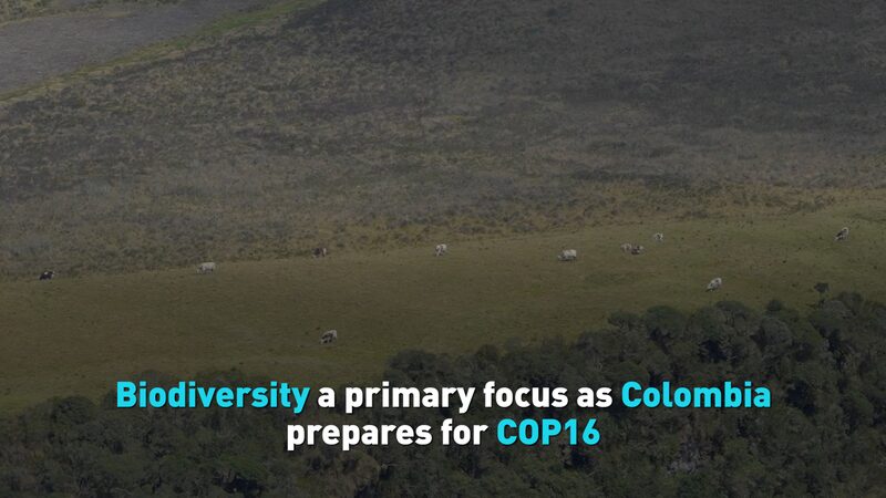 Colombia_Gears_Up_for_COP16_with_Biodiversity_in_Focus_poster - Khabar Asia Colombia_Gears_Up_for_COP16_with_Biodiversity_in_Focus video poster