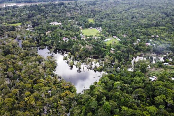 Colombia’s Historic Deforestation Drop Offers Insights for Asia Colombia_s_Historic_Deforestation_Drop_Offers_Insights_for_Asia