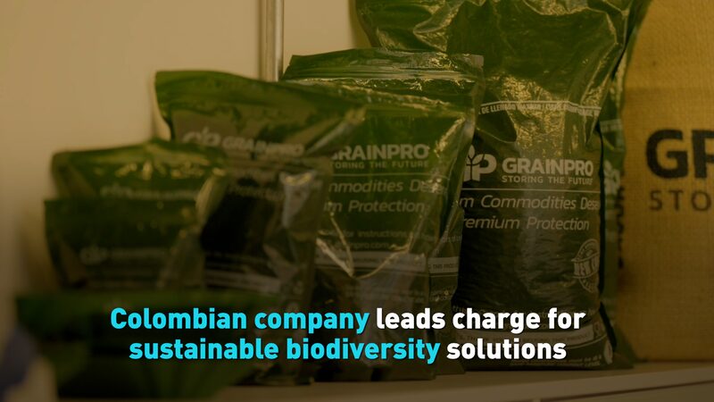 Colombian_Company_Leads_in_Sustainable_Biodiversity_Ahead_of_COP16_poster - Khabar Asia Colombian_Company_Leads_in_Sustainable_Biodiversity_Ahead_of_COP16 video poster