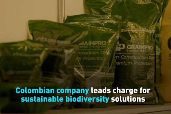 Colombian Company Pioneers Sustainable Biodiversity Solutions Ahead of COP16 Colombian_Company_Pioneers_Sustainable_Biodiversity_Solutions_Ahead_of_COP16 video poster
