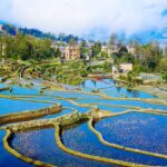 Colorful_Honghe_Hani_Rice_Terraces__A_Living_Canvas_in_Yunnan_Province
