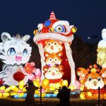 Colorful Lantern Exhibition in Yinchuan Celebrates Traditional Chinese Culture