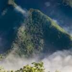 Coral Fossils Uncover Qinling Mountains' Ancient Underwater Secrets