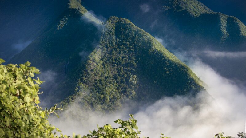 Coral_Fossils_Uncover_Qinling_Mountains_Ancient_Underwater_Secrets - Khabar Asia Coral Fossils Uncover Qinling Mountains' Ancient Underwater Secrets