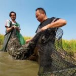 Crabs Raised in Rice Paddies Enrich Ningxia's Culinary Scene video poster