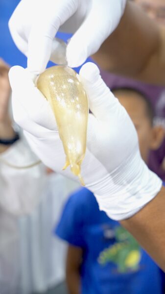 Crafting_Sweet_Memories__Visitors_Join_Artisan_in_Tianmen_Sugar_Figurine_Making video poster