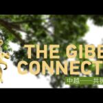 Cross_Border_Conservation__Saving_the_Cao_Vit_Gibbons_Between_China_and_Vietnam video poster