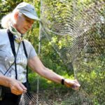 Cuban Biologists Unravel Mysteries of Migratory Birds Linking the Americas