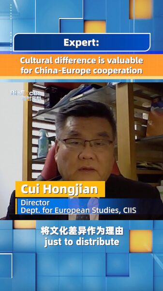 Cultural Differences Enhance China-Europe Cooperation: Expert video poster