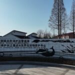 Datong's Guardians: Protecting the Yangtze Finless Porpoise in Anhui video poster