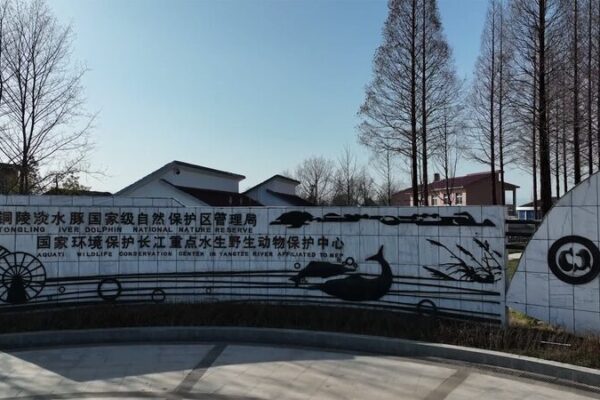 Datongs_Guardians_Protecting_the_Yangtze_Finless_Porpoise_in_Anhui_poster - Khabar Asia Datong's Guardians: Protecting the Yangtze Finless Porpoise in Anhui video poster