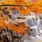 Dayi Mountain's Autumn Palette Captivates Visitors in Early Winter