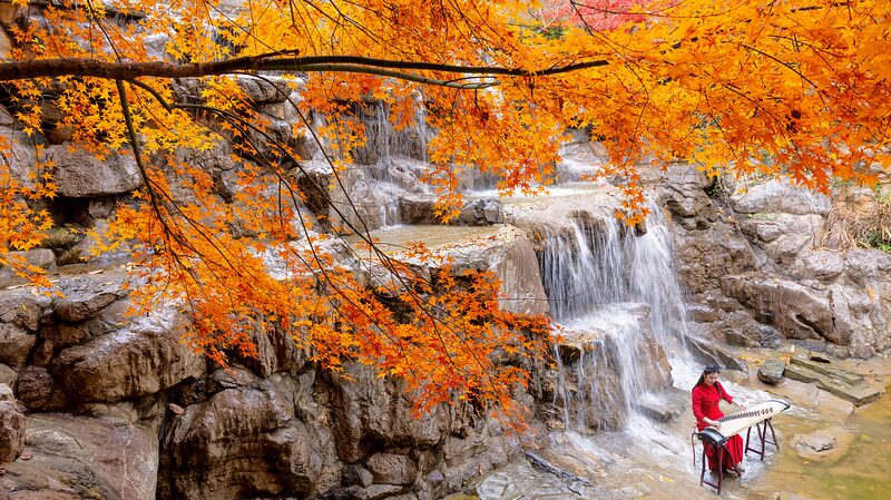 Dayi Mountain's Autumn Palette Captivates Visitors in Early Winter