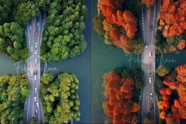 Deaf Photographer Yangyang Defies Odds to Achieve Adventure and Acclaim Deaf Photographer Yangyang Defies Odds to Achieve Adventure and Acclaim video poster