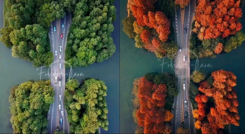 Deaf_Photographer_Yangyang_Defies_Odds_to_Achieve_Adventure_and_Acclaim_poster - Khabar Asia Deaf Photographer Yangyang Defies Odds to Achieve Adventure and Acclaim video poster