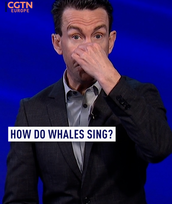 Decoding Whale Songs: New Research Reveals Secrets Amid Rising Noise in Asian Seas Decoding Whale Songs: New Research Reveals Secrets Amid Rising Noise in Asian Seas video poster