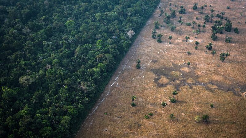 Deforestation_in_Amazon_Drops_to_Lowest_Level_Since_2016__Brazil_Reports - Khabar Asia Deforestation_in_Amazon_Drops_to_Lowest_Level_Since_2016__Brazil_Reports