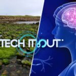 Desert Moss May Hold Key to Mars Colonization, Say Chinese Scientists video poster