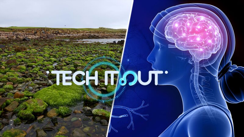 Desert Moss May Hold Key to Mars Colonization, Say Chinese Scientists video poster