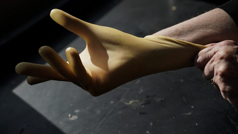 Desert_Shrubs_and_Dandelions_A_New_Era_for_US_Rubber_Production - Khabar Asia Desert Shrubs and Dandelions: A New Era for U.S. Rubber Production