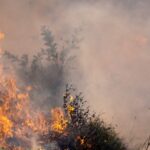 Devastating_Wildfires_Sweep_Through_Brazil_s_Sugarcane_Fields