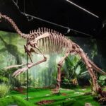 Dinosaur_Fossil_Exhibition_in_Beijing_Sends_Timely_Message_on_Sustainability